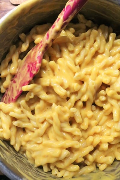 Dairy Free Macaroni & Cheese