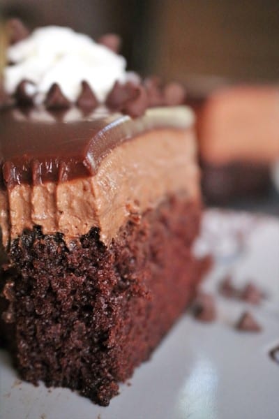 Chocolate Mousse Cake Up Close #headfirst #dessertlover #chocoholic