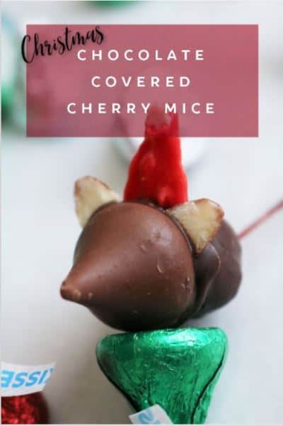 Chocolate Covered Cherry Mice with Text