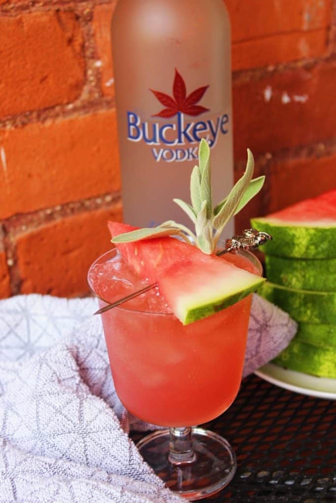 Watermelon-Sage-Splash-cuisineandcocktails