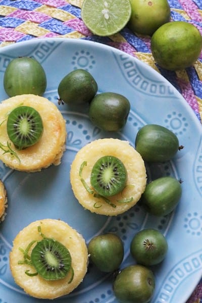 Kiwi Coconut Key Lime Mini Cheesecakes #SpingSweetsWeek