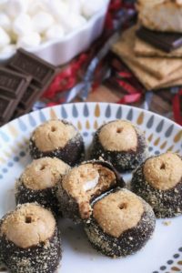 Plate of S'mores Buckeyes