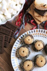 S'mores Flavored Buckeyes