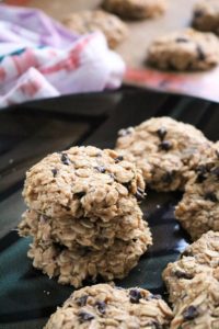 Vegan Peanut Butter Chocolate Chip No-Bake Cookies