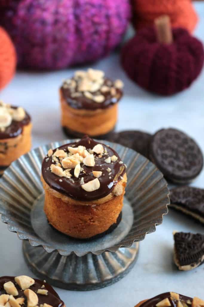 Peanut Butter Oreo Pumpkin Cheesecake Bites.