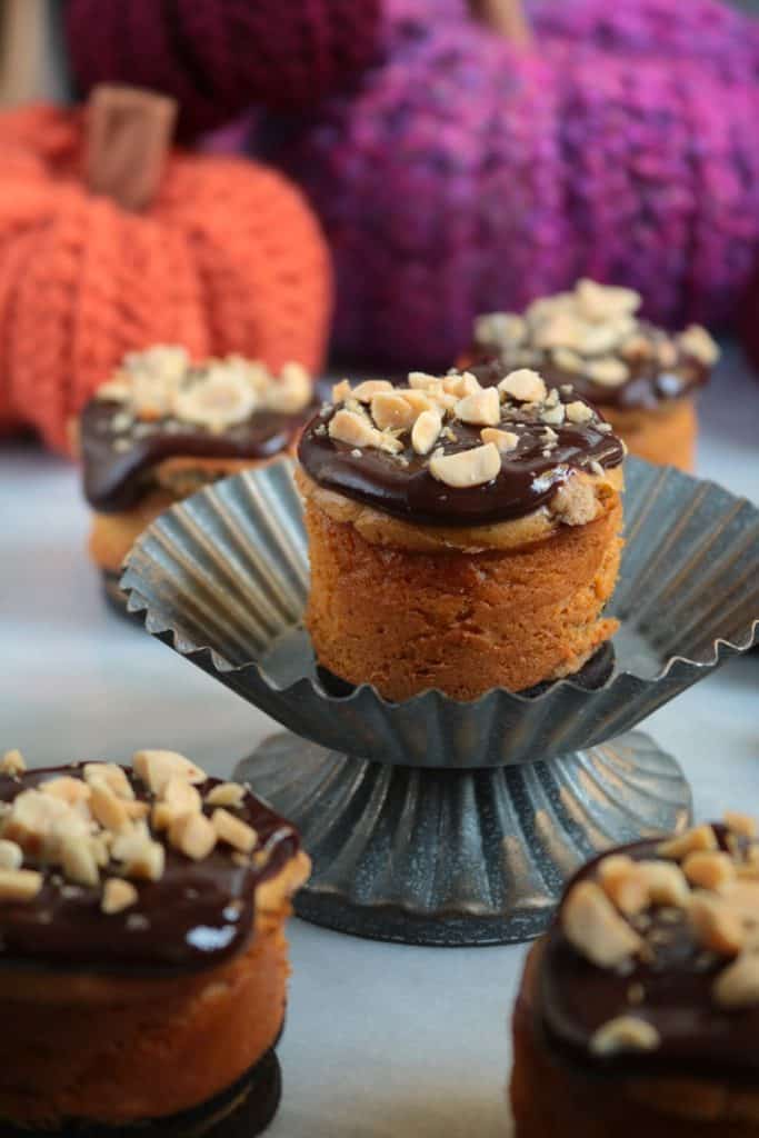 Mini Peanut Butter Oreo Pumpkin Cheesecake Bites.