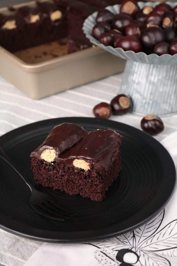 Chocolate Bumpy Cake with Peanut Butter Buttercream.