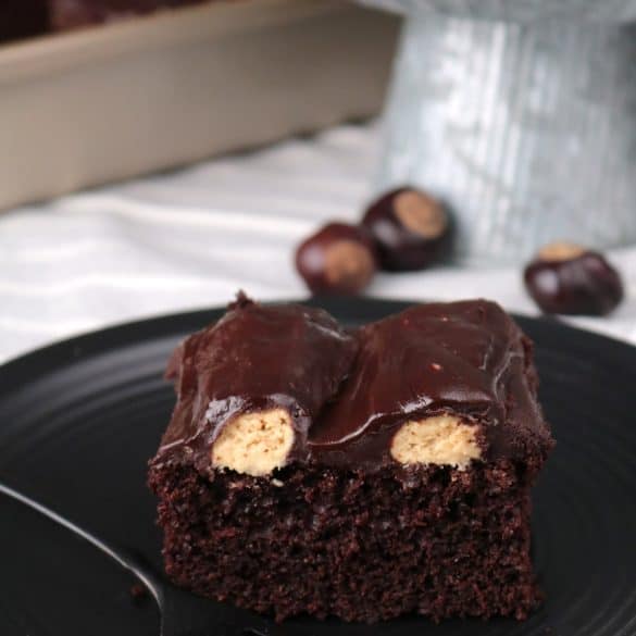 Peanut Butter Chocolate Bumpy Cake.