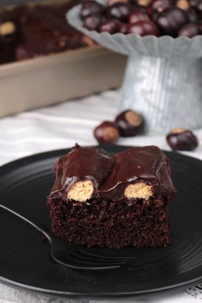 Peanut Butter Chocolate Bumpy Cake.