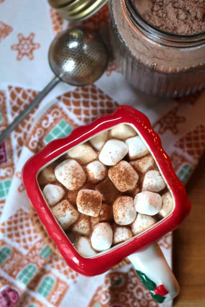 Marshmallow topped Chai Hot Cocoa.