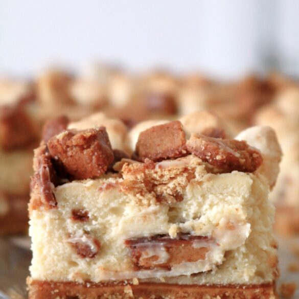 Side view of Peanut Butter S’mores Cheesecake Bars