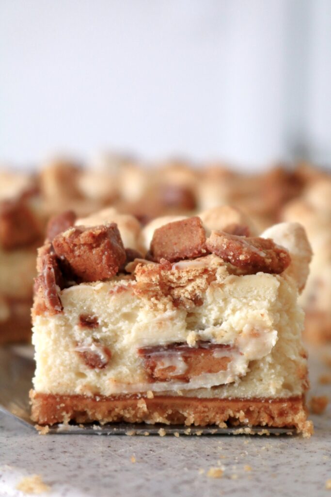 Side view of Peanut Butter S’mores Cheesecake Bars